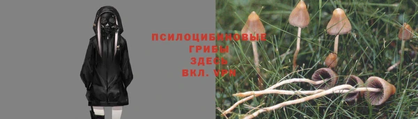 гашиш Гусев