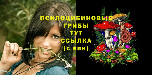 spice Гусиноозёрск