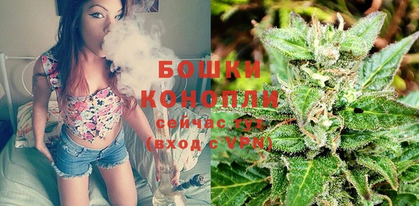 spice Гусиноозёрск
