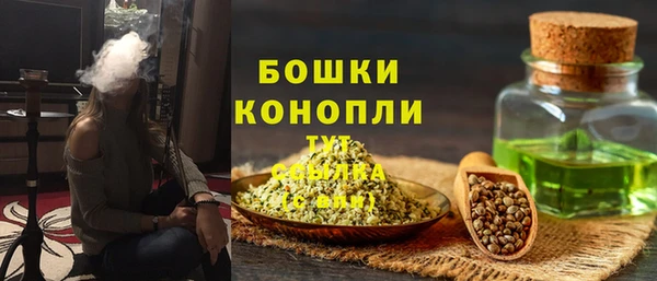 spice Гусиноозёрск