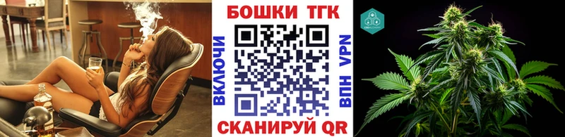 Марихуана план  где купить наркоту  Новая Ладога 